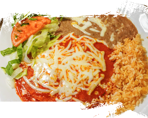 Nopalitos Enchilada Style Red Burrito